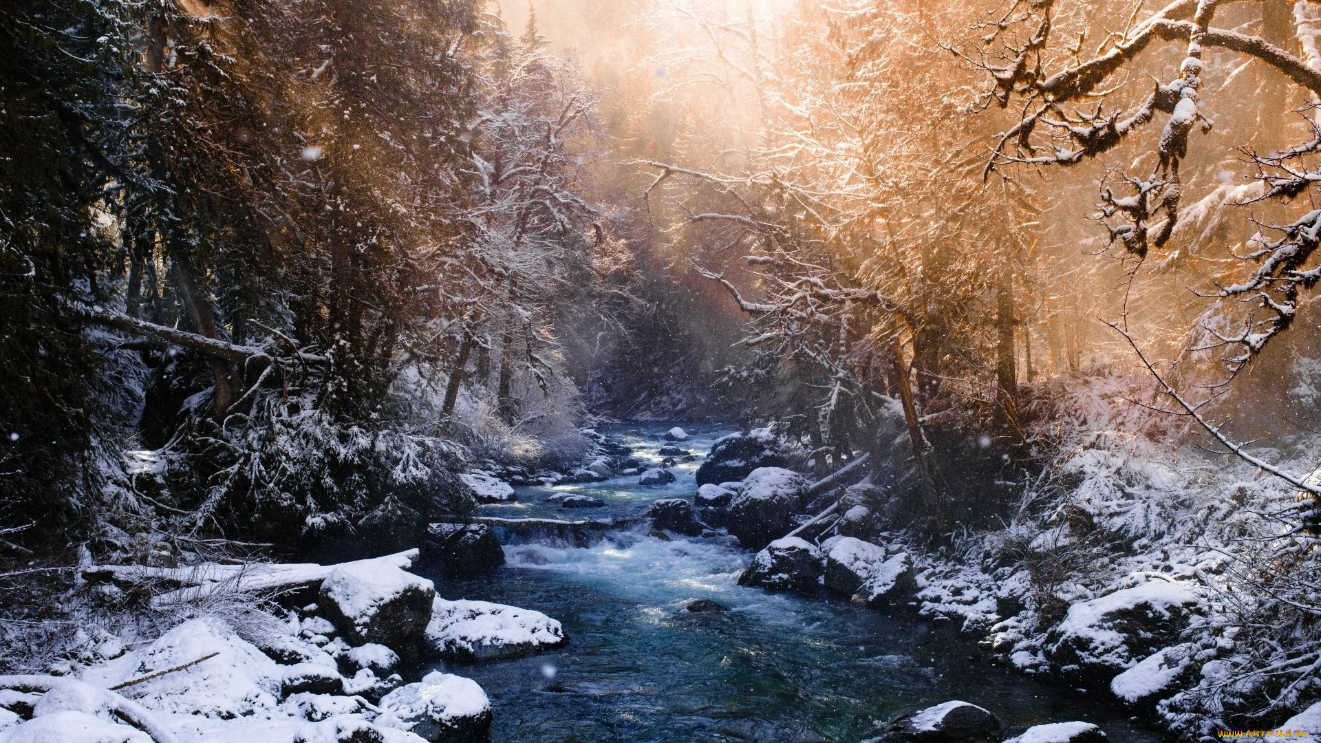 , , , , 
